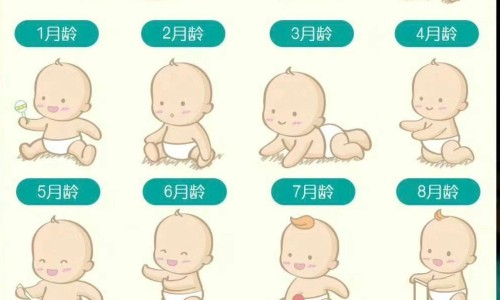康灵医药-康灵胶囊说明书-专业康灵药业股份平台-康灵医药官网图片