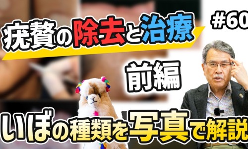 康灵片的功效与作用-康灵胶囊说明书-专业康灵药业股份平台-康灵医药官网图片